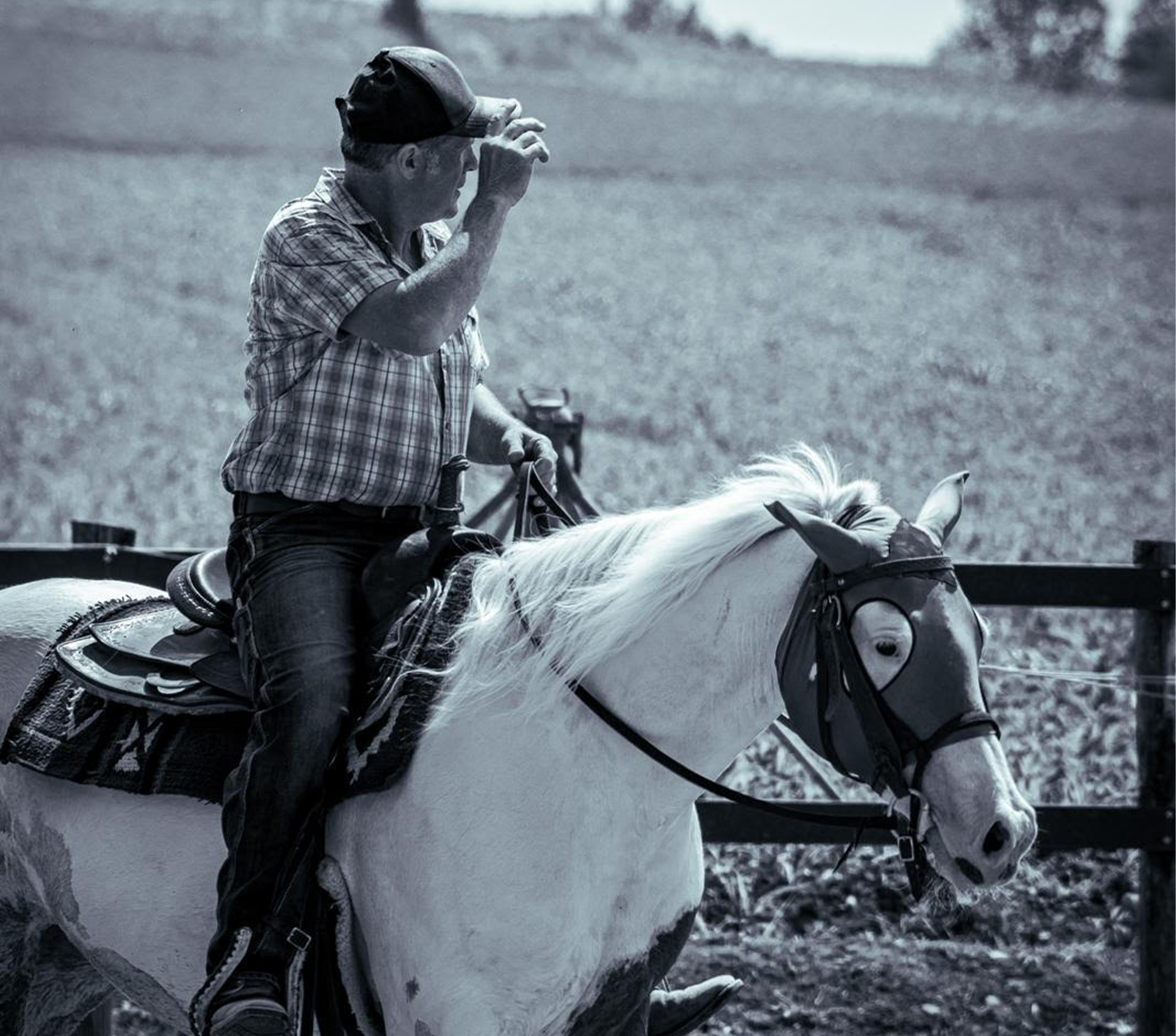 persona a cavallo